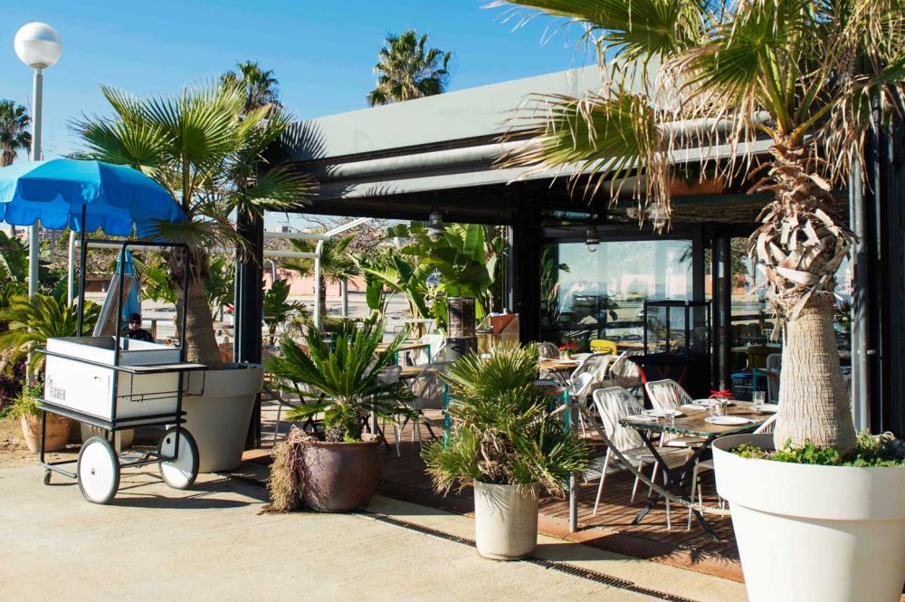 Regala una comida o una cena en Can Fisher. Terraza frente al mar